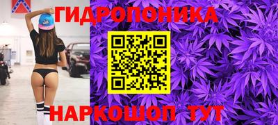 2c-b Новодвинск