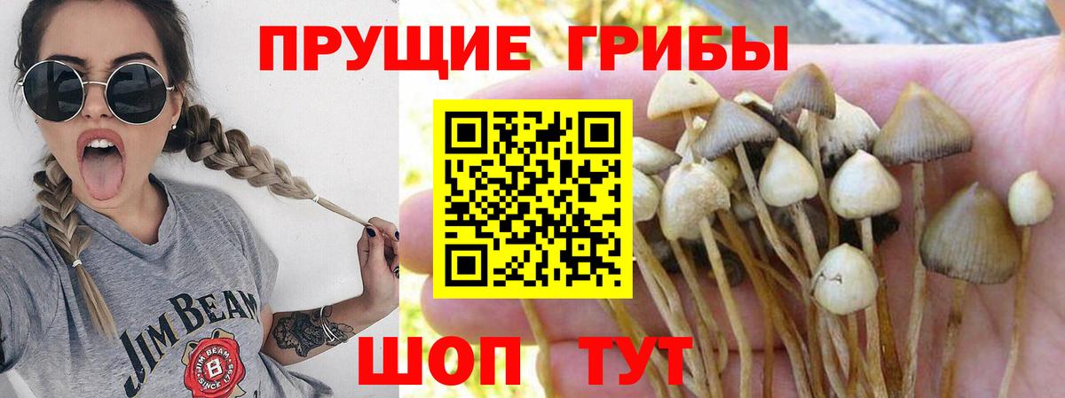 Галлюциногенные грибы Magic Shrooms Татарск